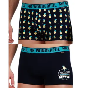 Boxer Mr. Wonderful Ananas (x2) image-1