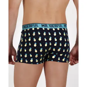 Boxer Mr. Wonderful Ananas (x2) image-2