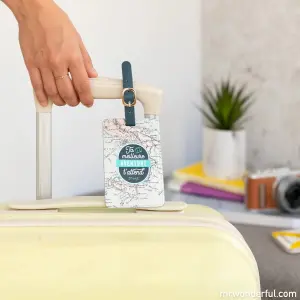 etichetta per bagagli - la vostra migliore avventura vi raggiunge Mr. Wonderful image-2