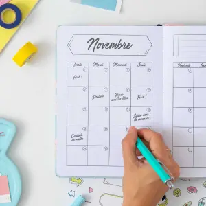 Agenda bullet Mr. Wonderful Bullet image-3