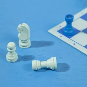 Chess sets for wild games Mr. Wonderful image-2