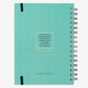 Caderno de planeamento da produtividade - projectos, sonhos e novos desafios Mr. Wonderful image-1