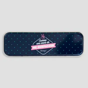 Penne con astuccio per annotare idee incredibili Mr. Wonderful (x2) image-0