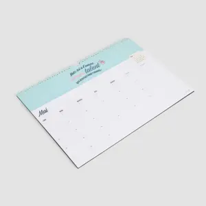 Diario del paisaje Mr. Wonderful image-1