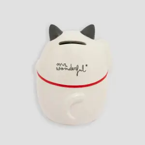 Salvadanaio Mr. Wonderful Full of Great Plans image-1