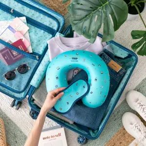 Travel pillow with eye mask for dreaming on land, at sea and in the air Mr. Wonderful image-1