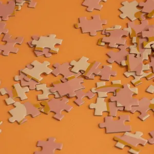 Puzzle go with your flow Mr. Wonderful image-3