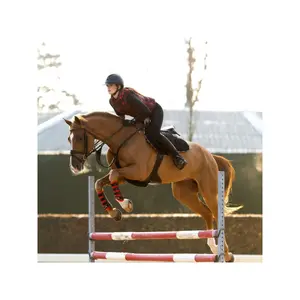 Tapis de dressage pour cheval Mrs. Ros Iconic image-1