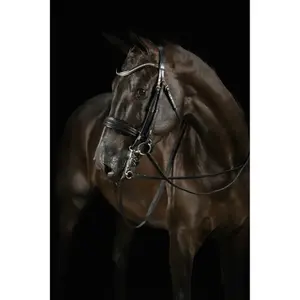 Doble brida Mrs. Ros Deluxe Knight Power image-0