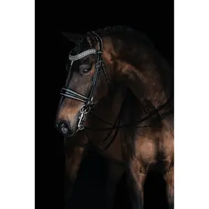 1449-001-zaumzeuggebiss-fur-pferde-mrs-ros-johnny-double-silber-full