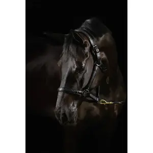 Leren halster voor paard Mrs. Ros Diamond Deluxe Movie Star image-0