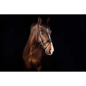 1563-001-zaumzeuggebiss-fur-pferde-mrs-ros-deluxe-schwarz