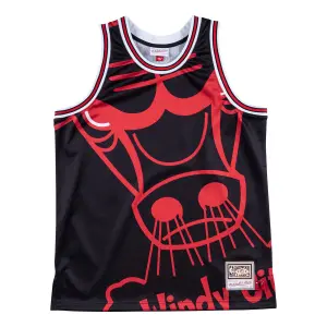 Camiseta de los Chicago Bulls image-0