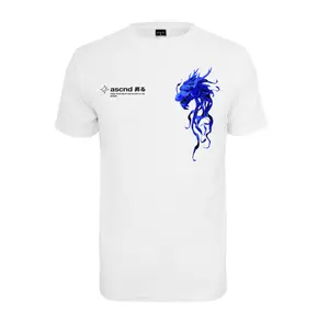 T-Shirt Mister Tee image-0