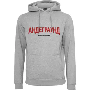 Hooded sweatshirt Mister Tee underground image-0