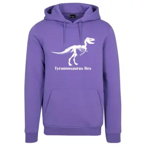 Sweatshirt Mister Tee t-rex image-0