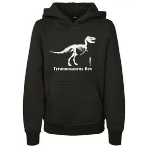 Sweatshirt child Mister Tee t-rex image-0