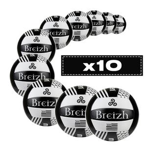 Lot de 10 ballons Molten V5B1300