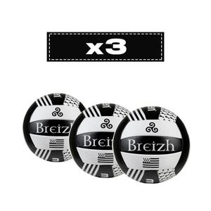 Lot de 3 ballons Molten V5B1300