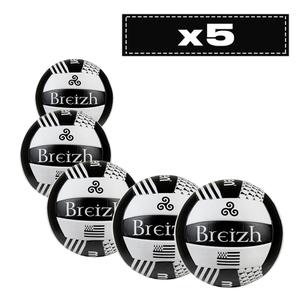 Lot de 5 ballons Molten V5B1300