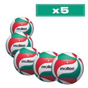 Set of 5 Competition Balls Molten V5M4500