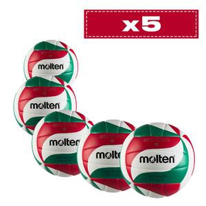 Lote de 5 balones de entrenamiento Molten BVL-V5M2000-L