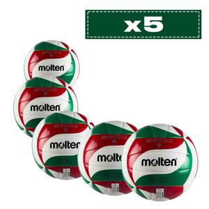 Lot de 5 ballons d'entrainement Molten V5M2501-L