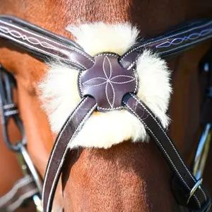 Crossed horse noseband Jump'In Wednesday image-0