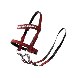 Bridle for Hobby Horse My Hobby Horse