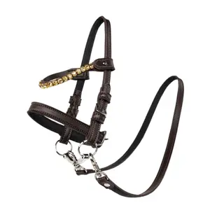 Hobby Horse Bridle with Golden Stones My Hobby Horse