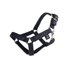 Hobby Horse Bridle My Hobby Horse