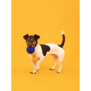 Balle pour chien Myfelt Mats & Marla image-3
