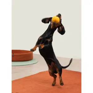 Balle pour chien Myfelt Mats & Marla image-4