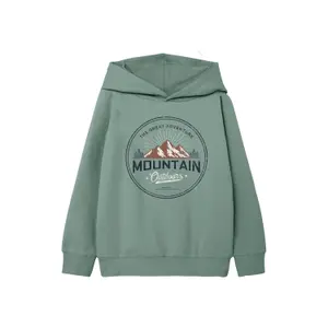 Child hoodie Name it Vugo image-0