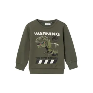 Sweatshirt child Name it Jurassic Sweat image-0