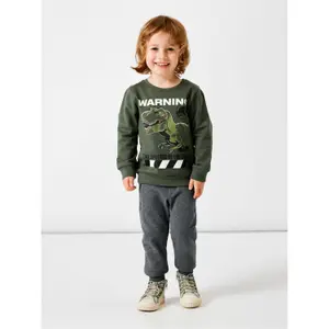 Sweatshirt child Name it Jurassic Sweat image-1