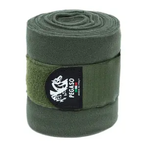 nb102vf-polobander-fur-pferde-nanny-blue-grun-tu