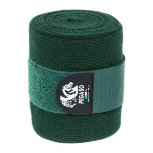 nb104vf-paar-arbeitsbander-fur-pferde-nanny-blue-grun-tu