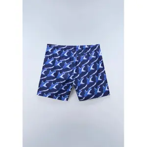 Swim shorts Napapijri Elior image-1