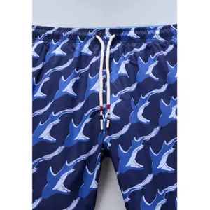 Swim shorts Napapijri Elior image-4
