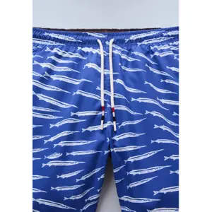 Swim shorts Napapijri Elior image-4