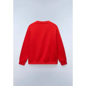 Sudadera Napapijri Antimony image-3