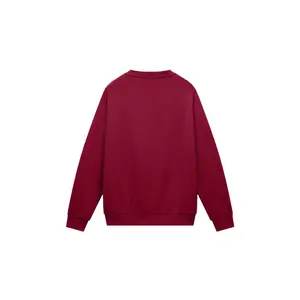 Sweatshirt Napapijri Bandir image-1