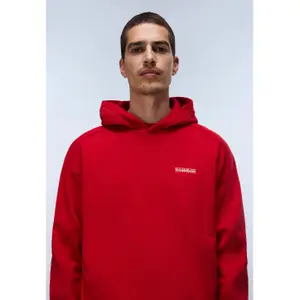 Hooded sweatshirt Napapijri Teza image-5