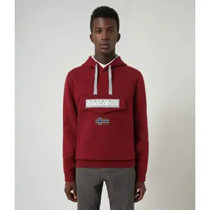 Sweatshirt Napapijri à capuche Burgee image-1