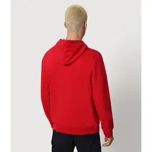 Sudadera Napapijri burgee wint 1 image-2