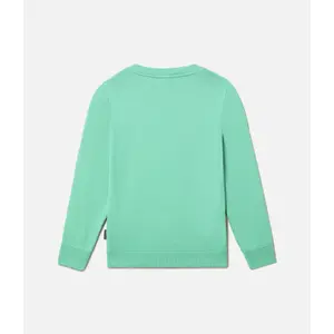 Hoodie round neck Children's Napapijri K Balis 1 image-1