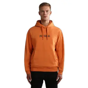 Hooded sweatshirt Napapijri B-Box S 1 image-1