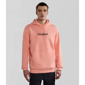 Sudadera con capucha Napapijri Box image-1