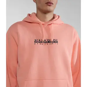 Sudadera con capucha Napapijri Box image-5